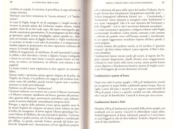 Figura 3 – Le ‘Ciciorie’ negli incolti pugliesi. Fonte: Sada (1991).