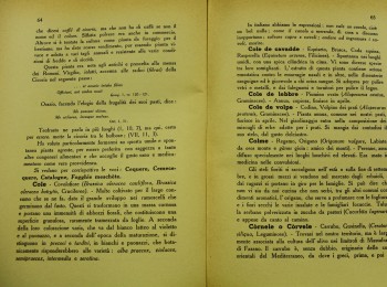 Figura 7 - Le 'Ciucrèdde' nella tradizione marinese. Fonte: Selvaggi (1950).