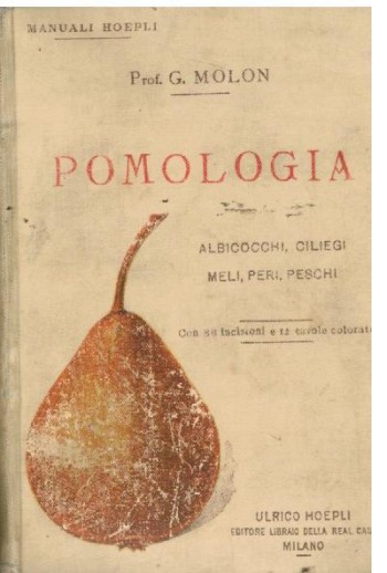Pomologia: descrizioni delle migliori varietà di albicocchi, ciliegi, meli, peri, peschi