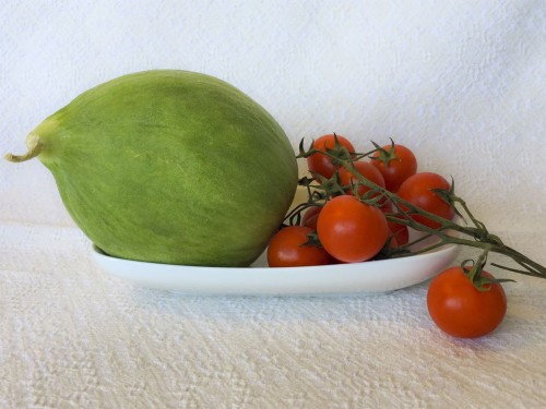 Alla scoperta del barattiere, il melone immaturo simbolo di Puglia