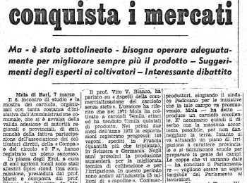 Figura 7 - "Il carciofo di Mola conquista i mercati" (Tagarelli, 1972). Fonte: "La Gazzetta del Mezzogiorno” del 7/3/1972.
