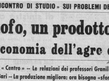 Figura 8 - Convegno sul carciofo a Mola di Bari (1973). Fonte: “La Gazzetta del Mezzogiorno”.