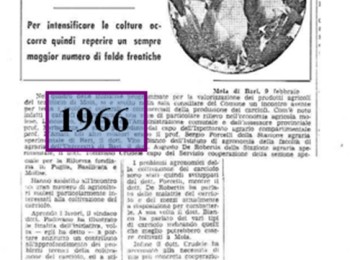 Figura 9 -  "Il carciofo di Mola chiede acqua dolce" (1966). Fonte: "La Gazzetta del Mezzogiorno” del 15/2/1966.