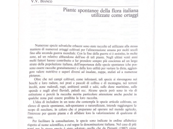 Foto 3 - La salicornia tra le piante spontanee della flora italiana. Fonte: Bianco (1990).