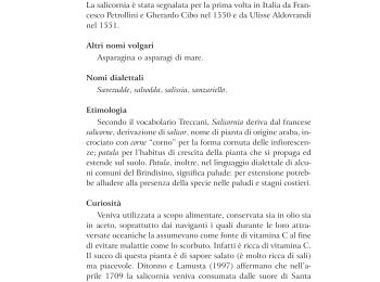 Foto 5 - La salicornia tra le piante spontanee utilizzate nella cucina di Mola di Bari (BA). Fonte: Bianco et al. (2009).