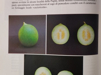 Foto 2 - Note bibliografiche del carosello 'Scopatizzo'. Fonte: Bianco (1990).