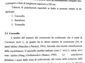 Foto 4 - Note bibliografiche del carosello 'Scopatizzo'. Fonte: Pertosa (1998).