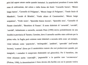 Foto 5 - Note bibliografiche del carosello 'Scopatizzo'. Fonte: Mastrovito (2005).