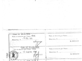 Figura 7 – Licenza di vendita di prodotti agricoli, tra cui la cima di rapa (1985). Fonte: Archivio storico del Comune di Minervino Murge (BAT).