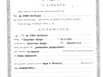 Figura 10 - Licenza di vendita di prodotti agricoli, tra cui la ‘Cima di rapa’ (1985). Fonte: Archivio storico del Comune di Minervino Murge.