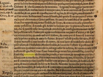 Figura 1 – I “tenerumi” della pianta della zucchina. Fonte: Ingrassia (1576).