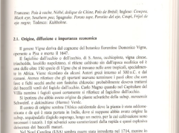 Figura 2 – Il ‘Fagiolino dall’occhio’. Fonte Bianco e Pimpini (1990).