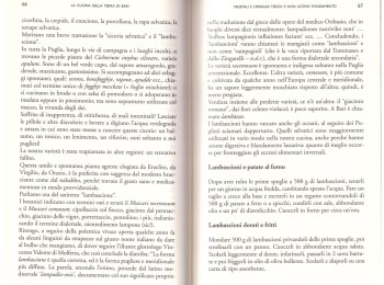 Figura 4 – Ricette con i Lambascioni. Fonte: Sada (1991).