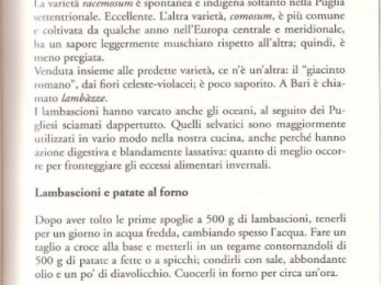 Figura 3 – Ricetta con i Lambascioni. Fonte: Sada (1991).