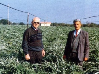 Figura 1 – Gli agricoltori Campanile e Tanzi nelle campagne di Mola (1983).