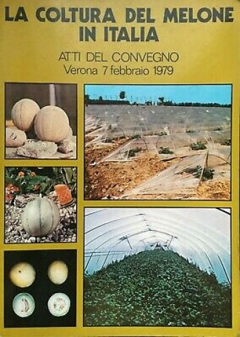 La coltura del melone nell’Italia meridionale