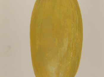 Figura 4 – Il ‘Popone giallo lungo di Brindisi’. Fonte: Museo Orazio Comes di Portici (Na).