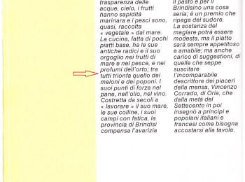 Figura 10 – I meloni nella terra di Brindisi. Fonte: AA.VV. (1990).