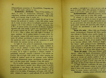 Figura 1 – Descrizione dell’ortica. Fonte: Selvaggi (1950).