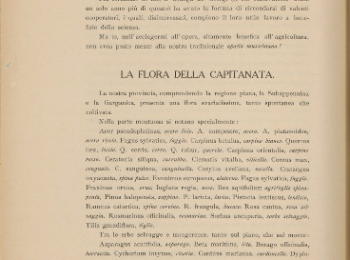 Figura 11 - Pagina 26 del trattato “La Capitanata, Foggia e il suo clima”. Fonte: Nigri (1914) - ©www.internetculturale.it.