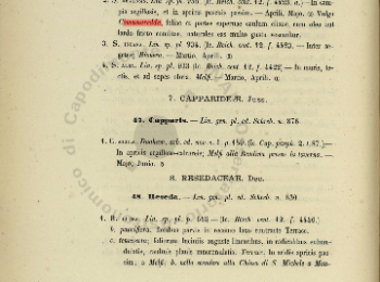 Figura 12 – ‘Cimamaredde’ negli Atti del R. Istituto d'incoraggiamento alle scienze naturali economiche e tecnologiche di Napoli (1869) - ©www.internetculturale.it.