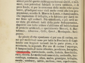 Figura 13 – ‘Cimamarella’ in “Il presente e l'avvenire della provincia di Capitanata”. Fonte: Staffa (1860) - ©www.internetculturale.it.