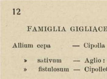 Figura   1 – ‘Sponsale’ riportato come varietà autunno-invernale della cipolla. Fonte: Trotta (1934).