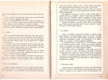 Figura 2 - Stufato di cime di rape. Fonte: Panza (1982).