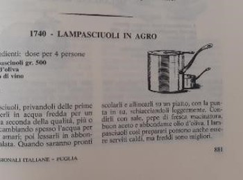 Figura 1 - Lampasciuli in agro. Fonte: Gosetti della Salda (1967).