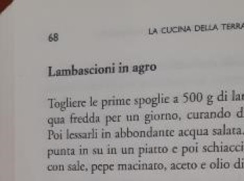Figura 2 - Lambascioni in agro. Fonte: Sada (1991).