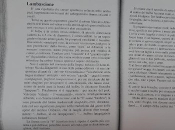 Figura 3 - Descrizione dei lambascioni e ricette. Fonte: Sada (1991).