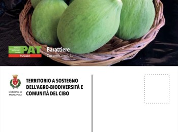Figura 1 - Il barattiere nelle "Cartoline dell'Agrobioidversità" del Comune di Monopoli. Fonte: Compagnia del Carosello (2021).