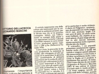 Figura 2 - Prove di confronto tra 'carosello' e cultivari di cetriolo allevate in serra - parte 1 di 3. Fonte: Dellacecca e Mancini, 1978.