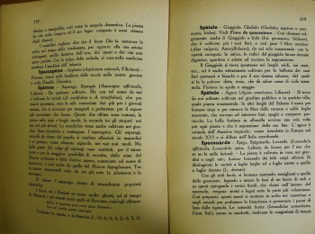 Figura 3 - ”Spàrece” in martinese. Fonte: Selvaggi (1950).