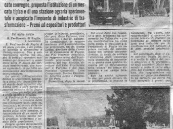 Figura 3 – Il ‘Carciofo di San Ferdinando’ in un articolo tratto da La Gazzetta del Mezzogiorno (1962).