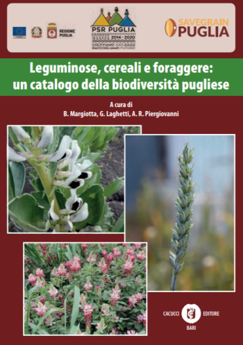 Leguminose, cereali e foraggere: un catalogo della biodiversità pugliese